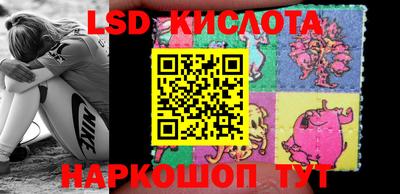 прущие крисы Кандалакша