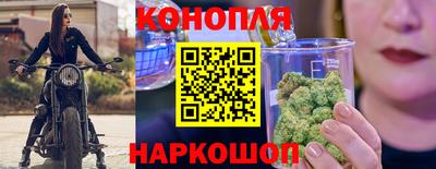 прущие крисы Кандалакша
