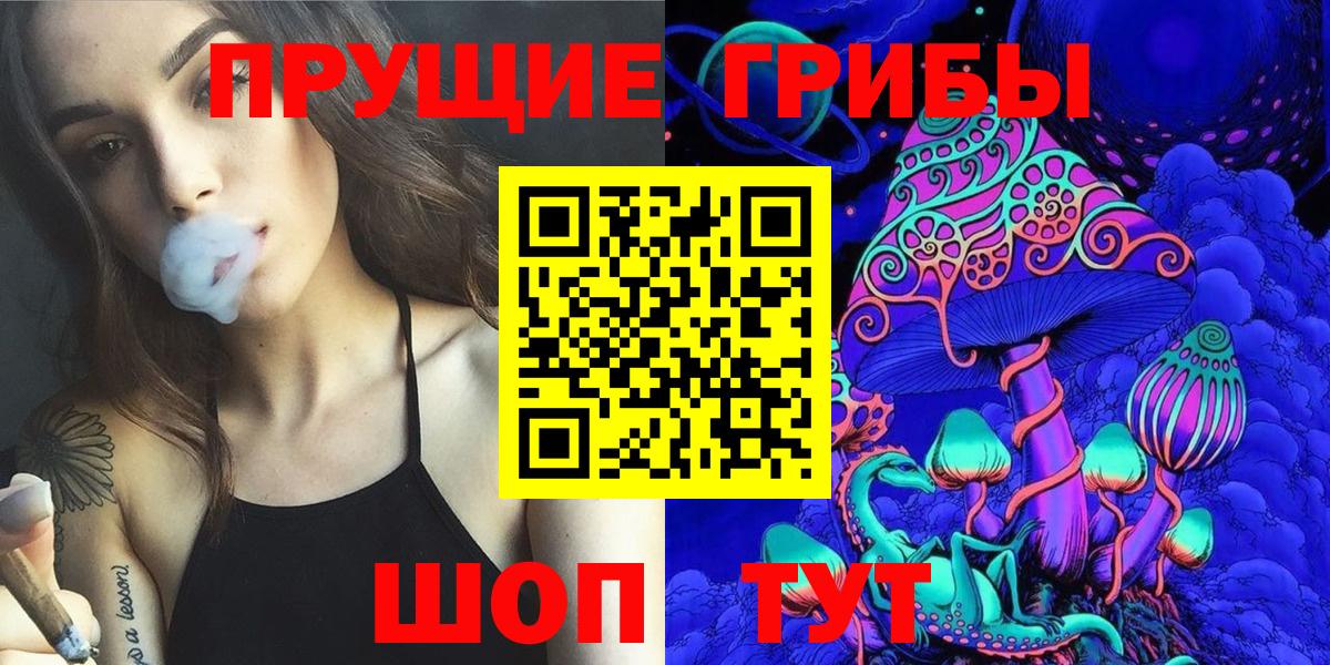 Лыткарино  Псилоцибиновые грибы мицелий  Псилоцибиновые грибы Psilocybine cubensis  Вход с VPN 